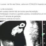 95.jpg